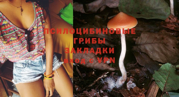 2c-b Зерноград