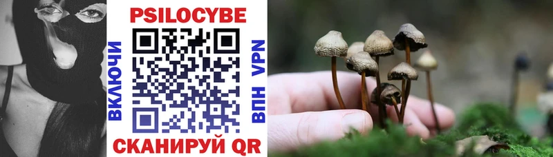 Галлюциногенные грибы Magic Shrooms  Купить где  Михайловка 